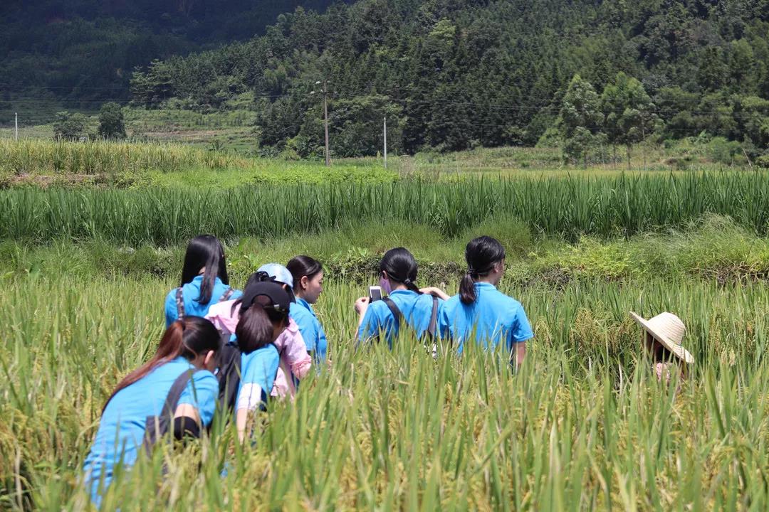 英国上市公司365