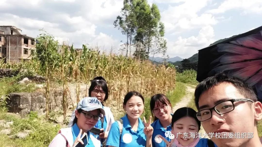 英国上市公司365